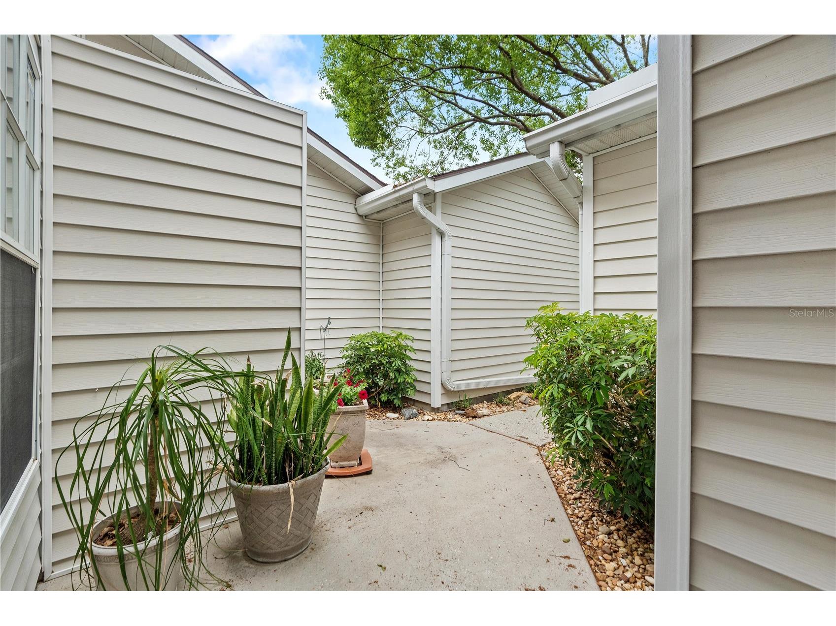 21506 Gray Tern Court Lutz FL 33549 W7885096 image5