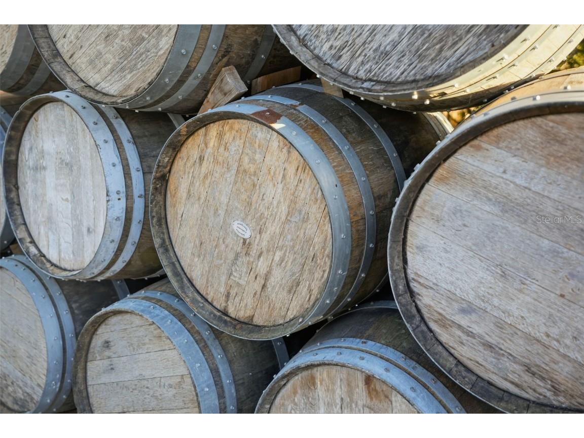 21509 Snow Hill Road Brooksville FL 34601 W7880903 image16