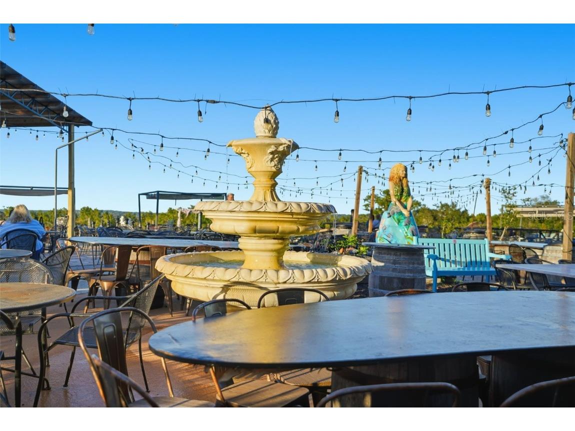 21509 Snow Hill Road Brooksville FL 34601 W7880903 image25