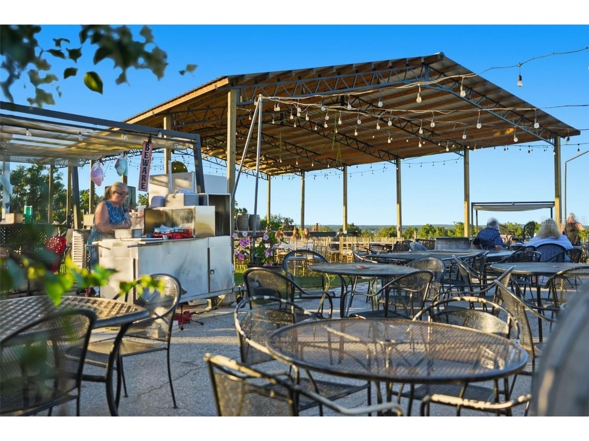 21509 Snow Hill Road Brooksville FL 34601 W7880903 image27