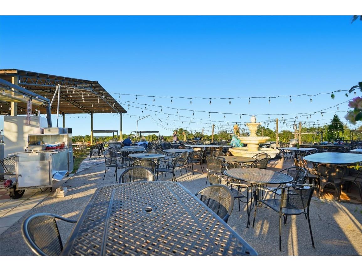 21509 Snow Hill Road Brooksville FL 34601 W7880903 image29