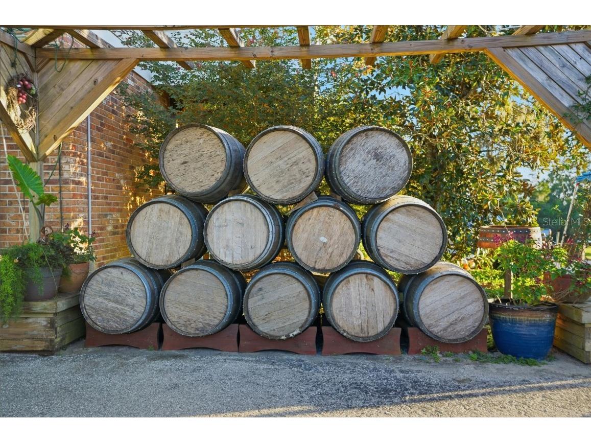 21509 Snow Hill Road Brooksville FL 34601 W7880903 image30