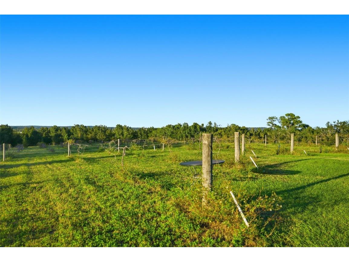 21509 Snow Hill Road Brooksville FL 34601 W7880903 image33