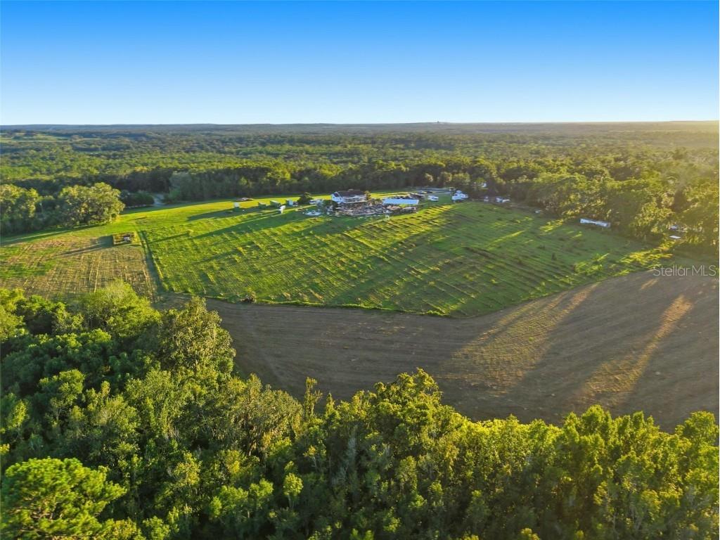 21509 Snow Hill Road Brooksville FL 34601 W7880903 image35