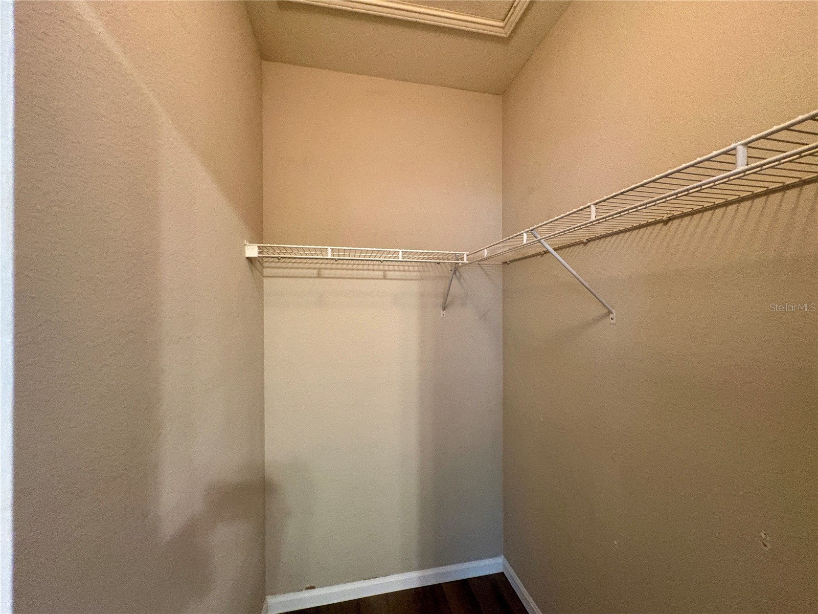 2151 Chianti Place #127 Palm Harbor FL 34683 TB8505719 image12