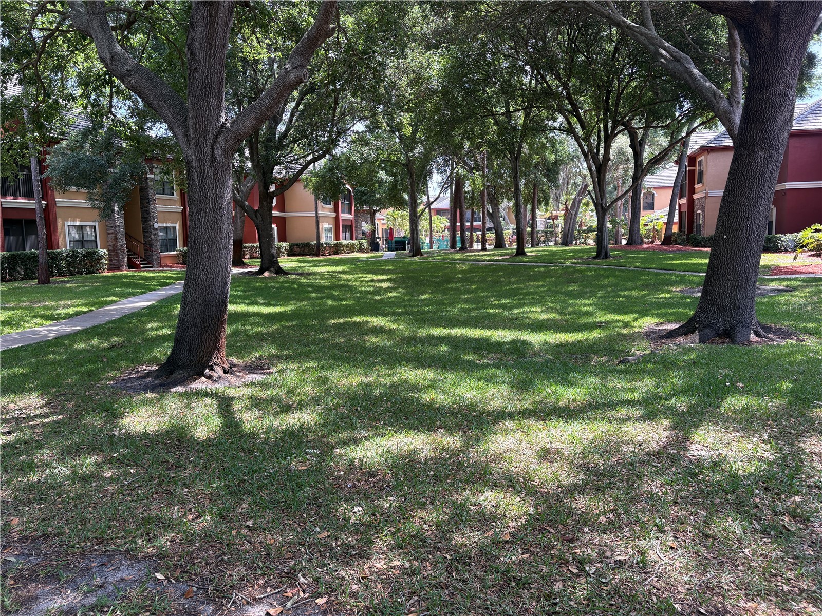 2151 Chianti Place #127 Palm Harbor FL 34683 TB8505719 image20