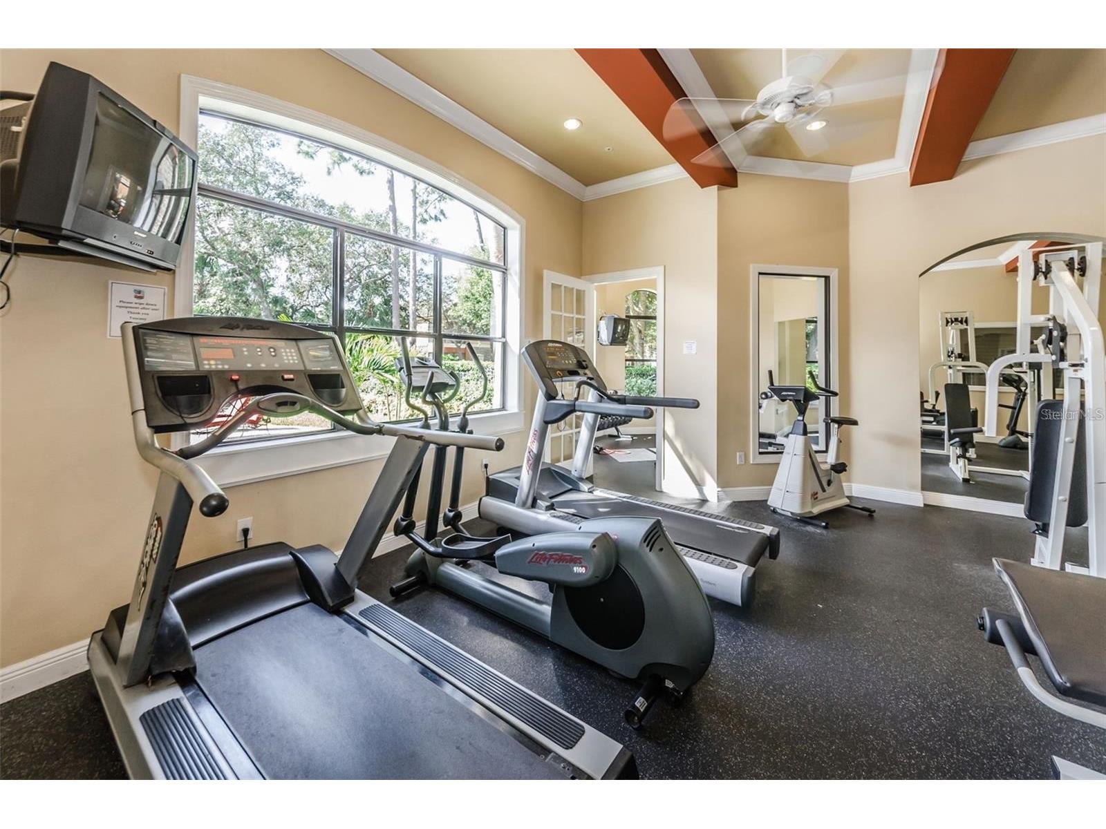 2151 Chianti Place #127 Palm Harbor FL 34683 TB8505719 image22