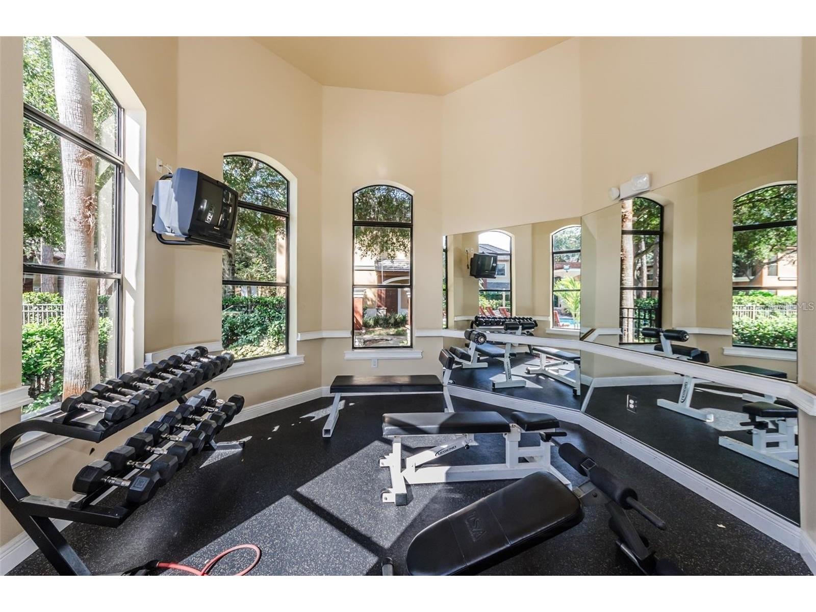 2151 Chianti Place #127 Palm Harbor FL 34683 TB8505719 image23