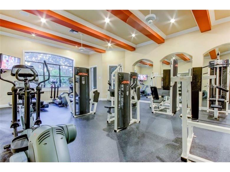 2151 Chianti Place #129 Palm Harbor FL 34683 W7878021 image3