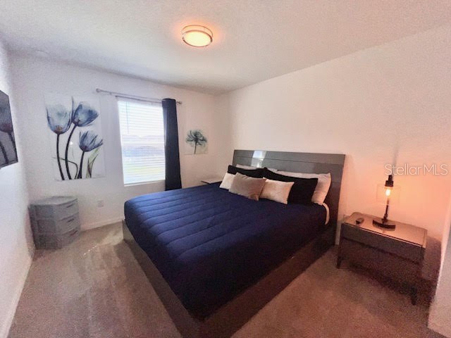 2151 Cooper Bell Place Kissimmee FL 34747 O6382669 image16