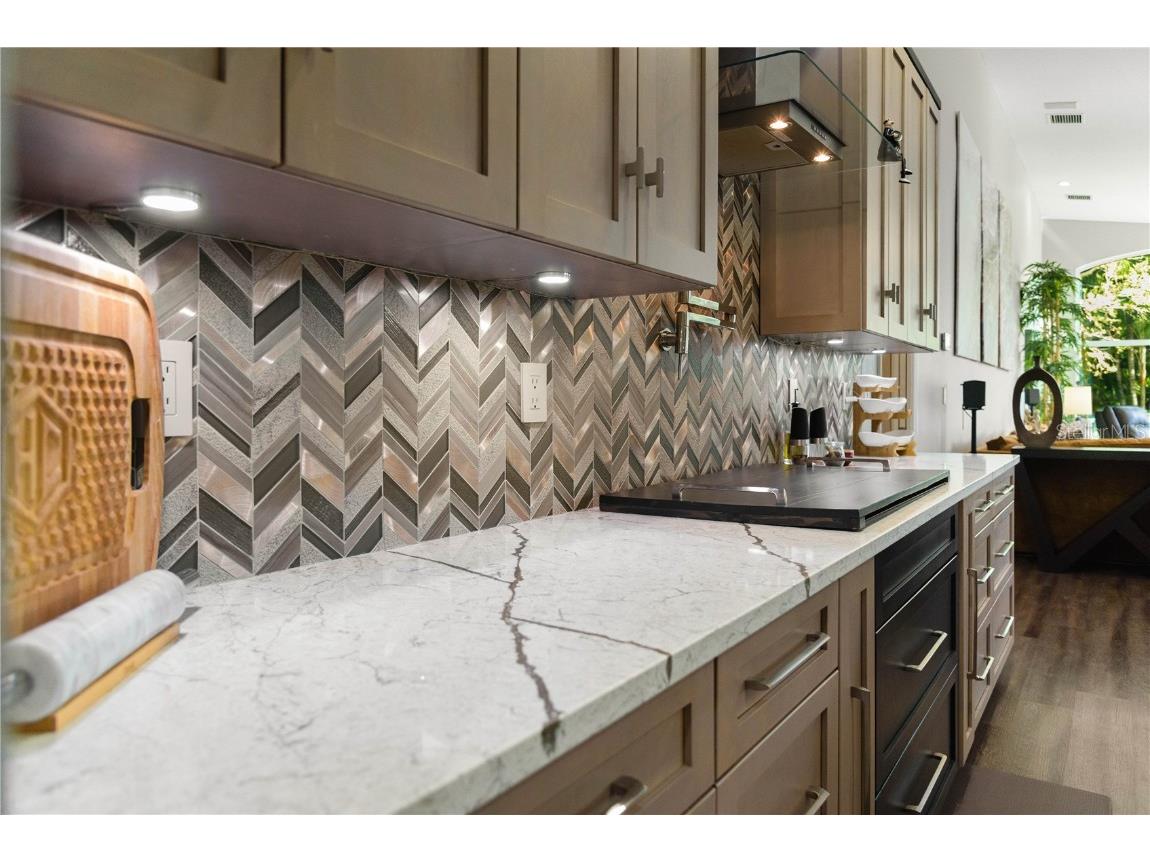 2151 Diamond Court Oldsmar FL 34677 TB8440175 image15