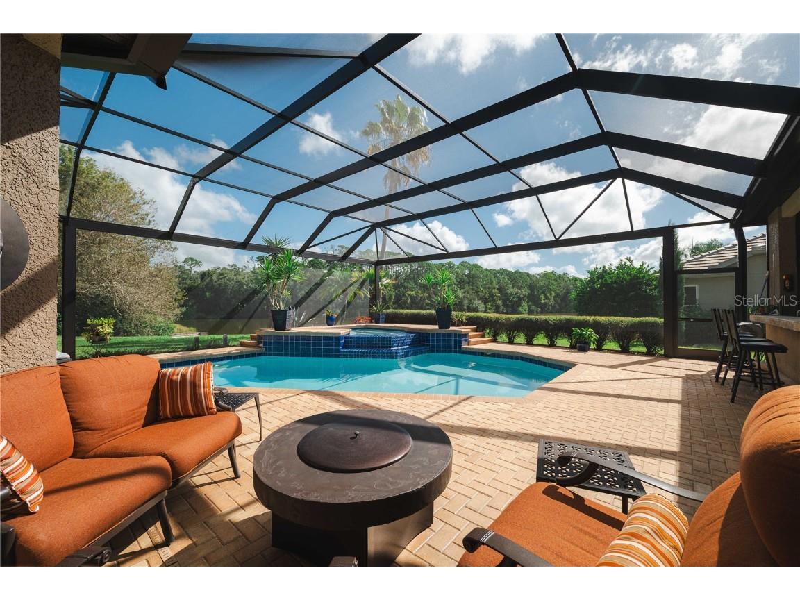 2151 Diamond Court Oldsmar FL 34677 TB8440175 image49