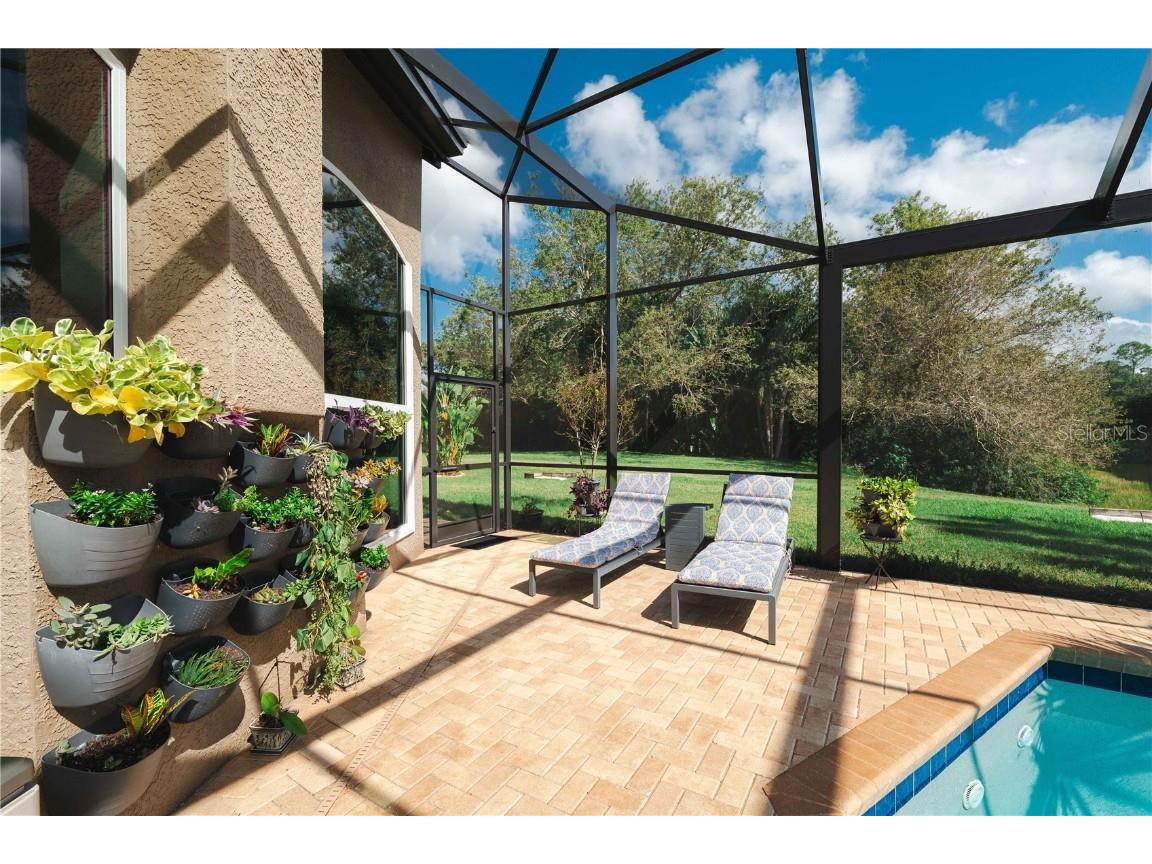 2151 Diamond Court Oldsmar FL 34677 TB8440175 image56