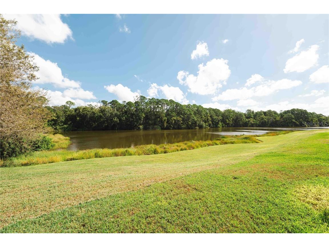 2151 Diamond Court Oldsmar FL 34677 TB8440175 image63