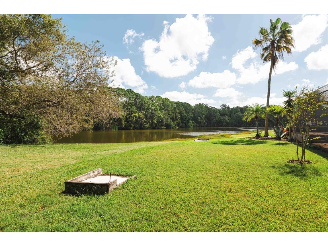 2151 Diamond Court Oldsmar FL 34677 TB8440175 image64