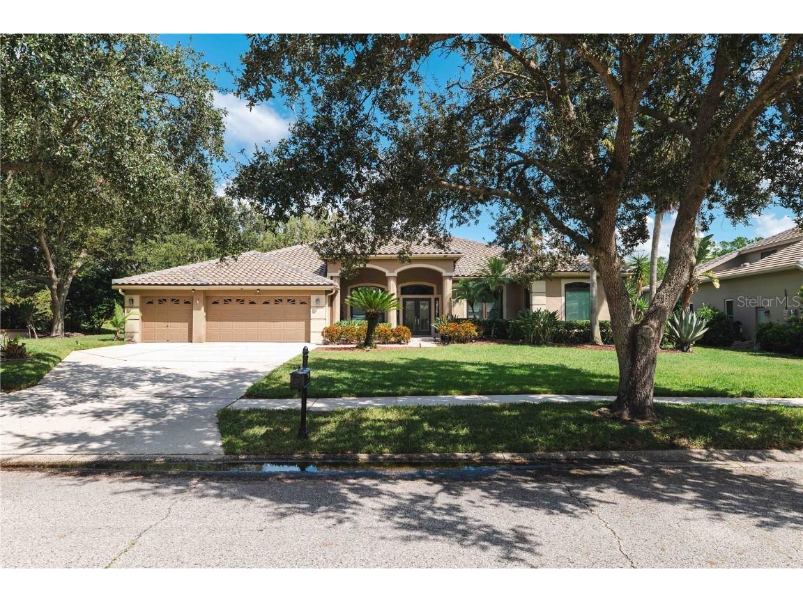 2151 Diamond Court Oldsmar FL 34677 TB8440175 image71