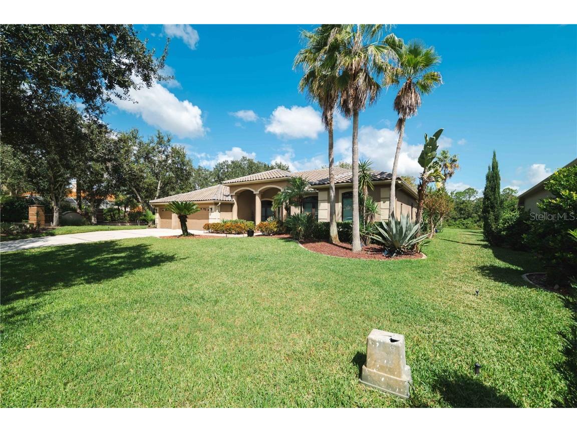 2151 Diamond Court Oldsmar FL 34677 TB8440175 image74