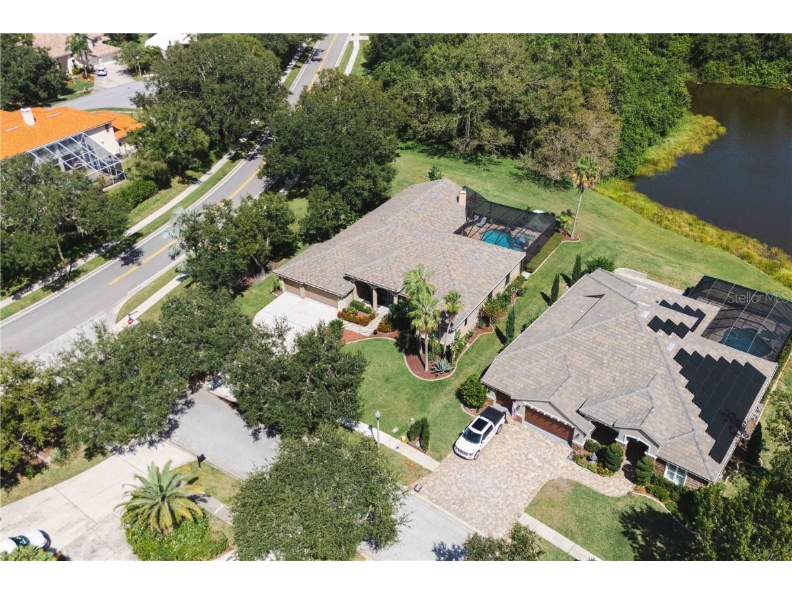 2151 Diamond Court Oldsmar FL 34677 TB8440175 image76