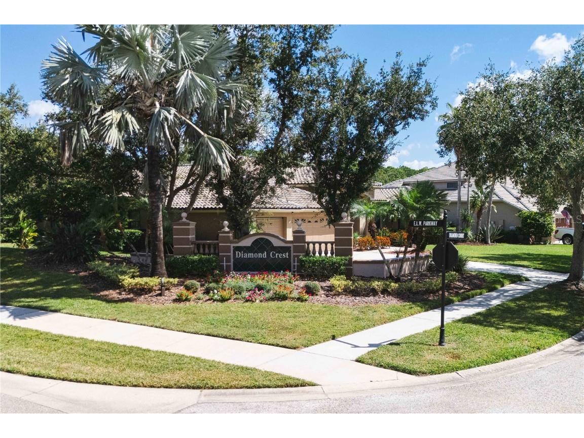 2151 Diamond Court Oldsmar FL 34677 TB8440175 image77