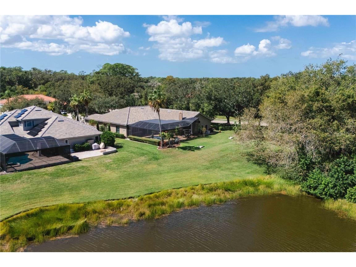 2151 Diamond Court Oldsmar FL 34677 TB8440175 image79