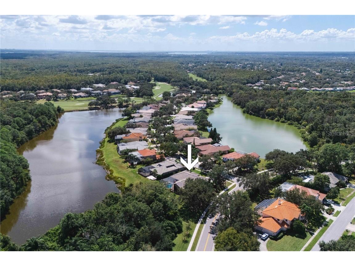 2151 Diamond Court Oldsmar FL 34677 TB8440175 image83