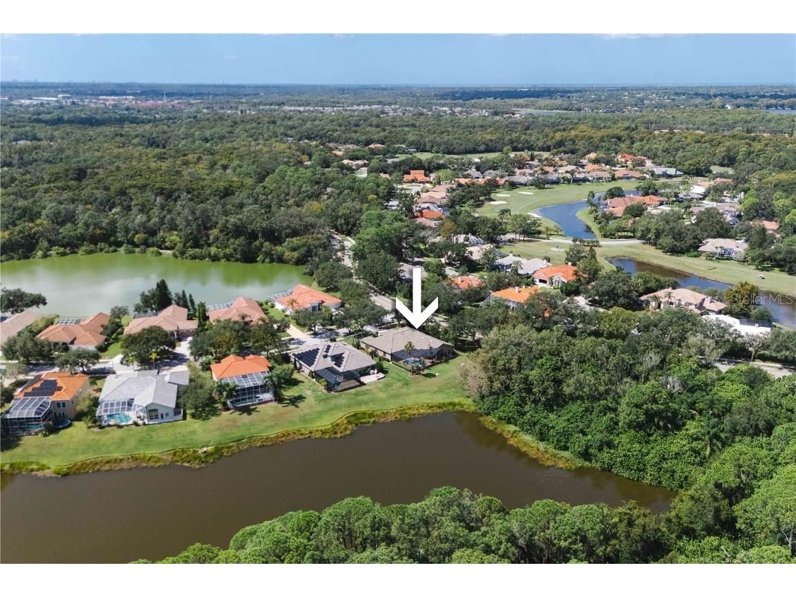 2151 Diamond Court Oldsmar FL 34677 TB8440175 image84