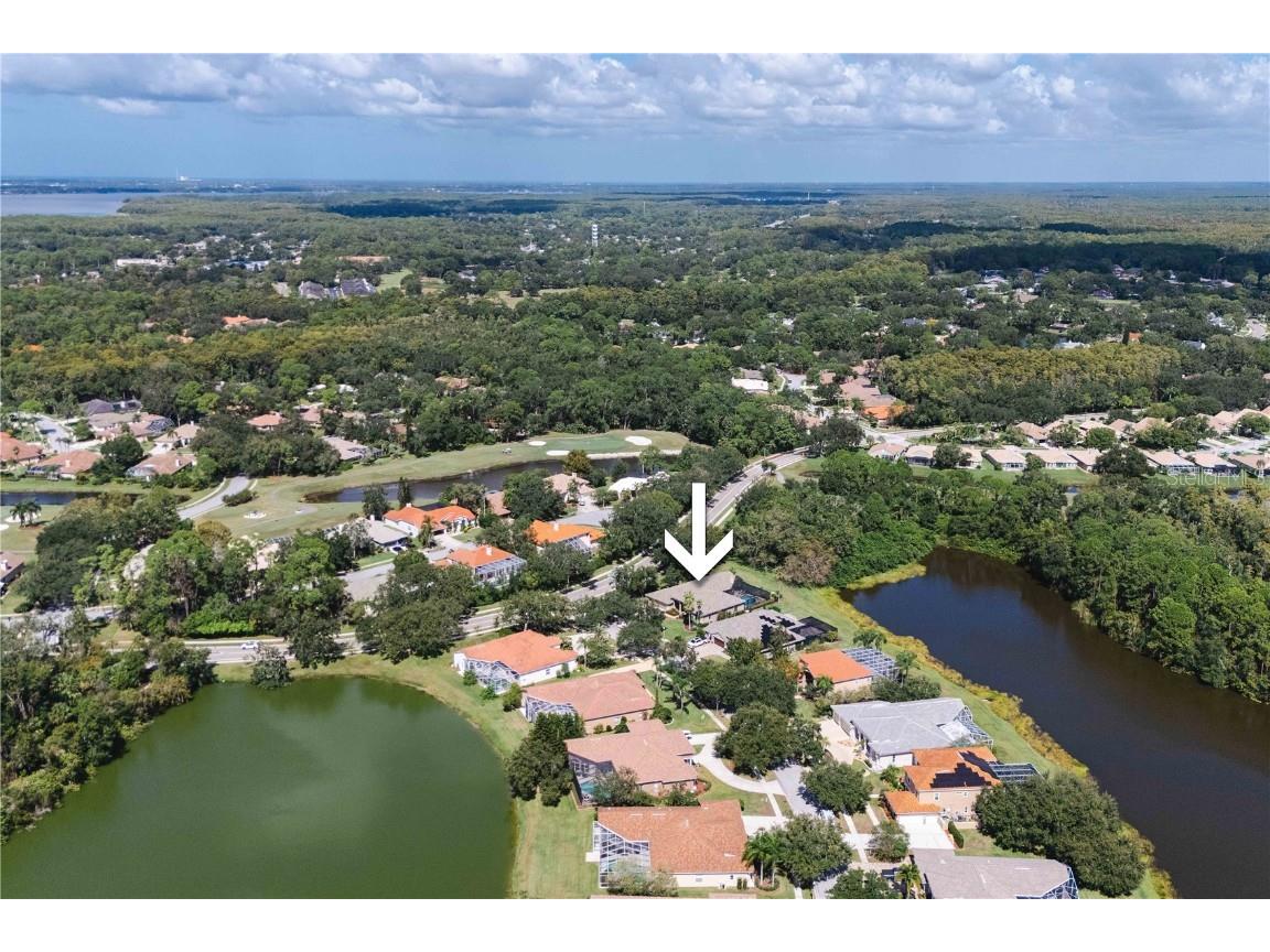 2151 Diamond Court Oldsmar FL 34677 TB8440175 image85