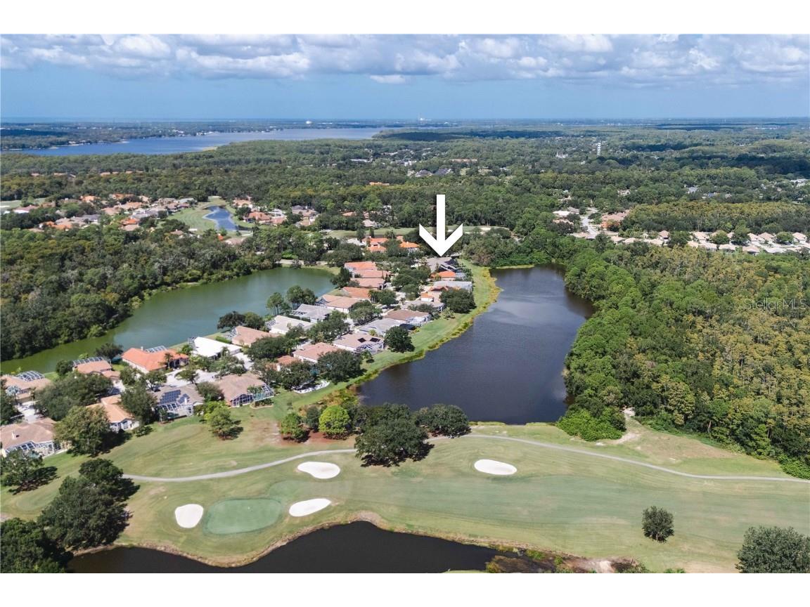 2151 Diamond Court Oldsmar FL 34677 TB8440175 image86