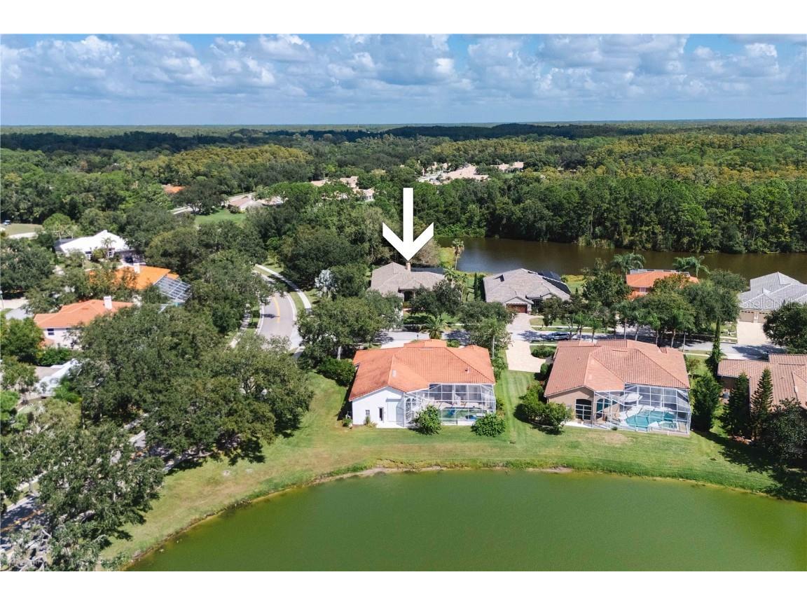 2151 Diamond Court Oldsmar FL 34677 TB8440175 image87