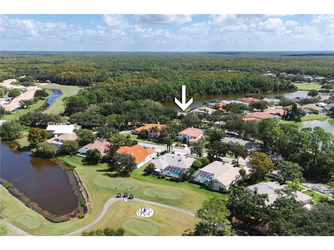 2151 Diamond Court Oldsmar FL 34677 TB8440175 image88