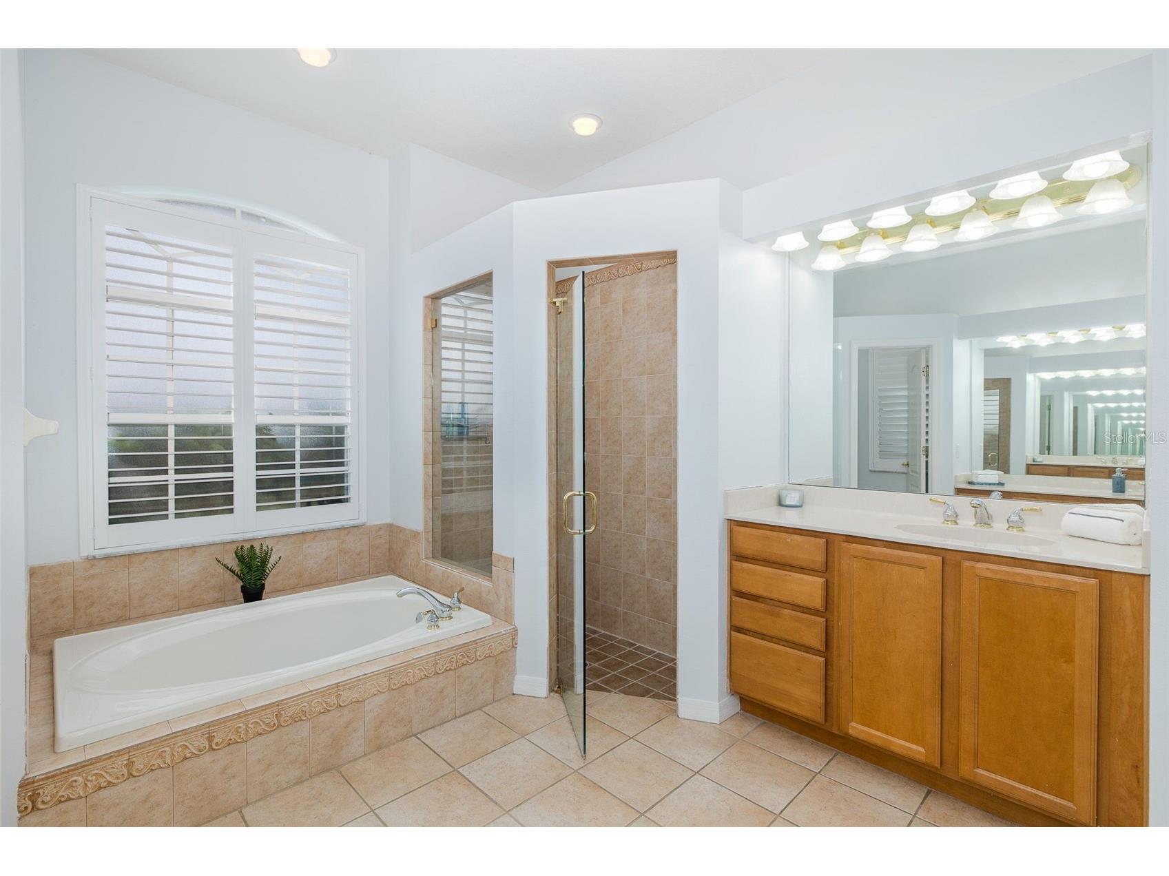 2151 Edelweiss Loop Trinity FL 34655 W7887375 image13