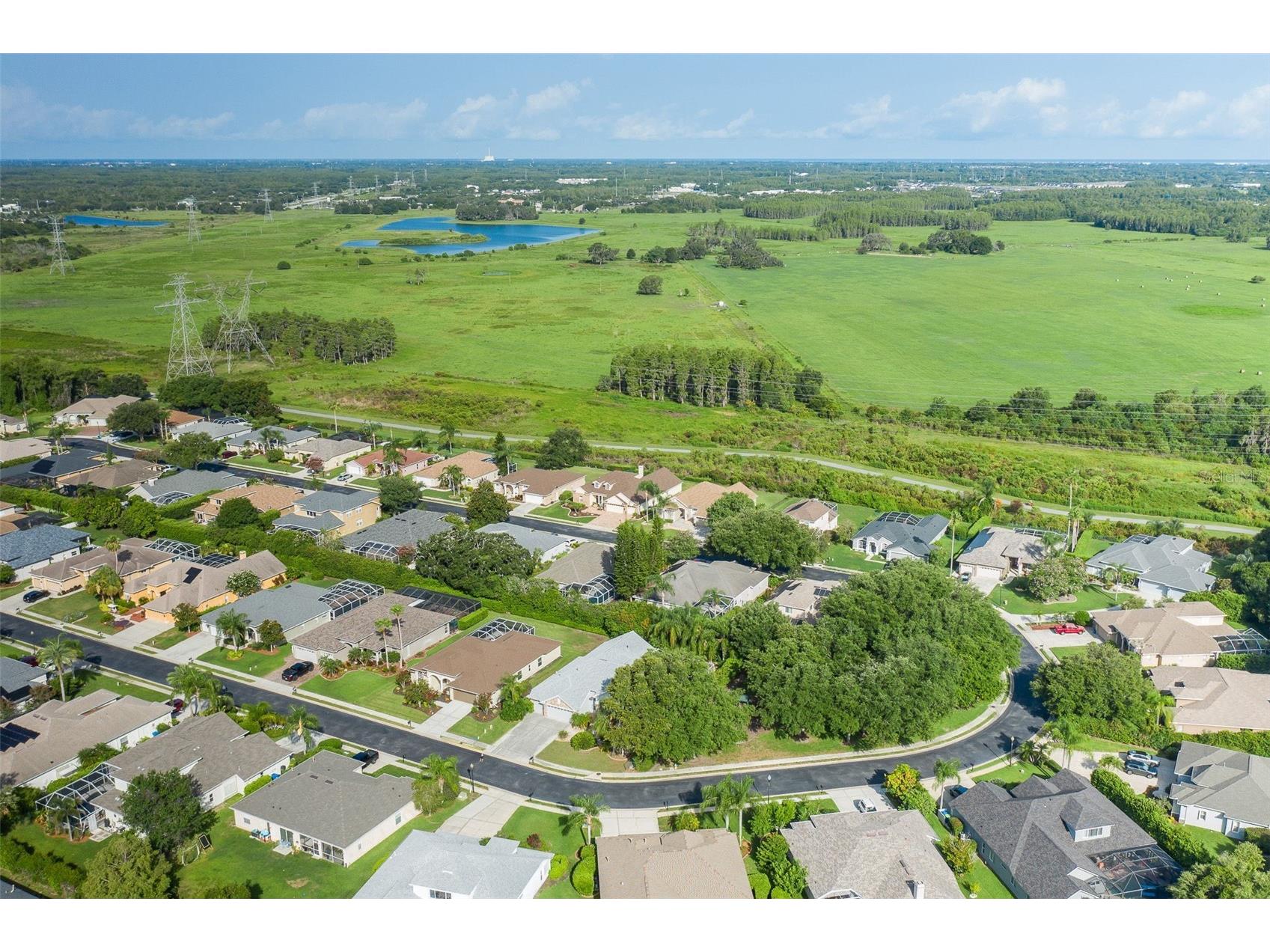 2151 Edelweiss Loop Trinity FL 34655 W7887375 image54