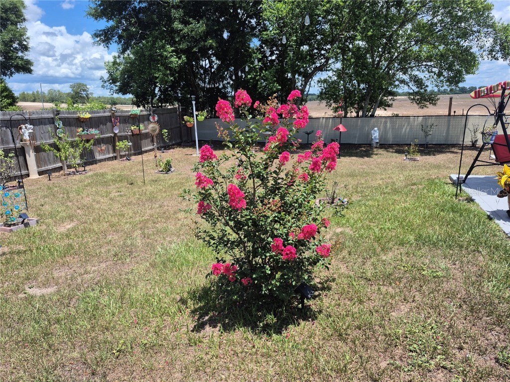 21511 SW Plantation Street SW Dunnellon FL 34431 OM703281 image40