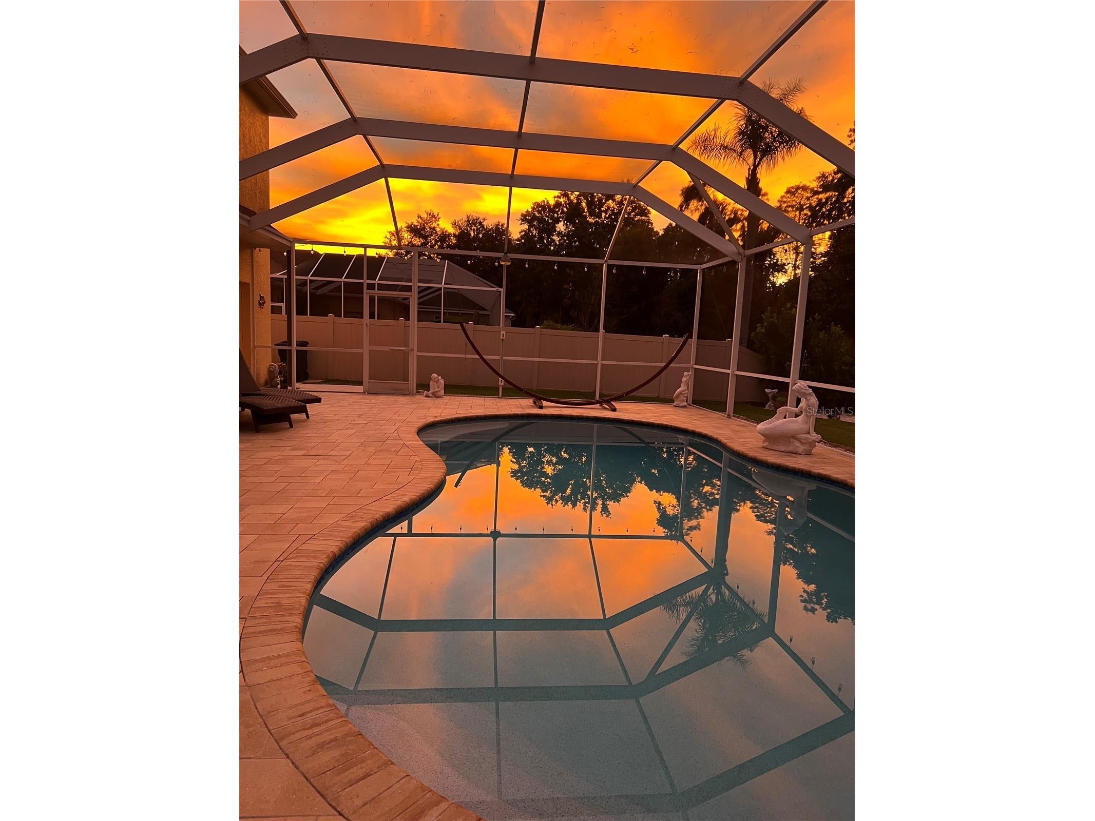 21511 Wilderness Lake Boulevard Land O Lakes FL 34637 TB8474426 image10