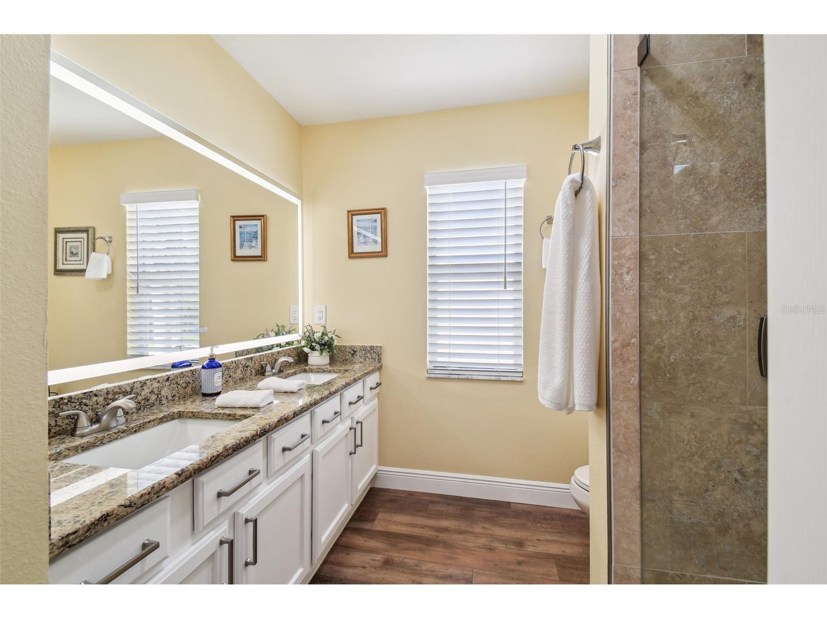 21511 Wilderness Lake Boulevard Land O Lakes FL 34637 TB8474426 image59