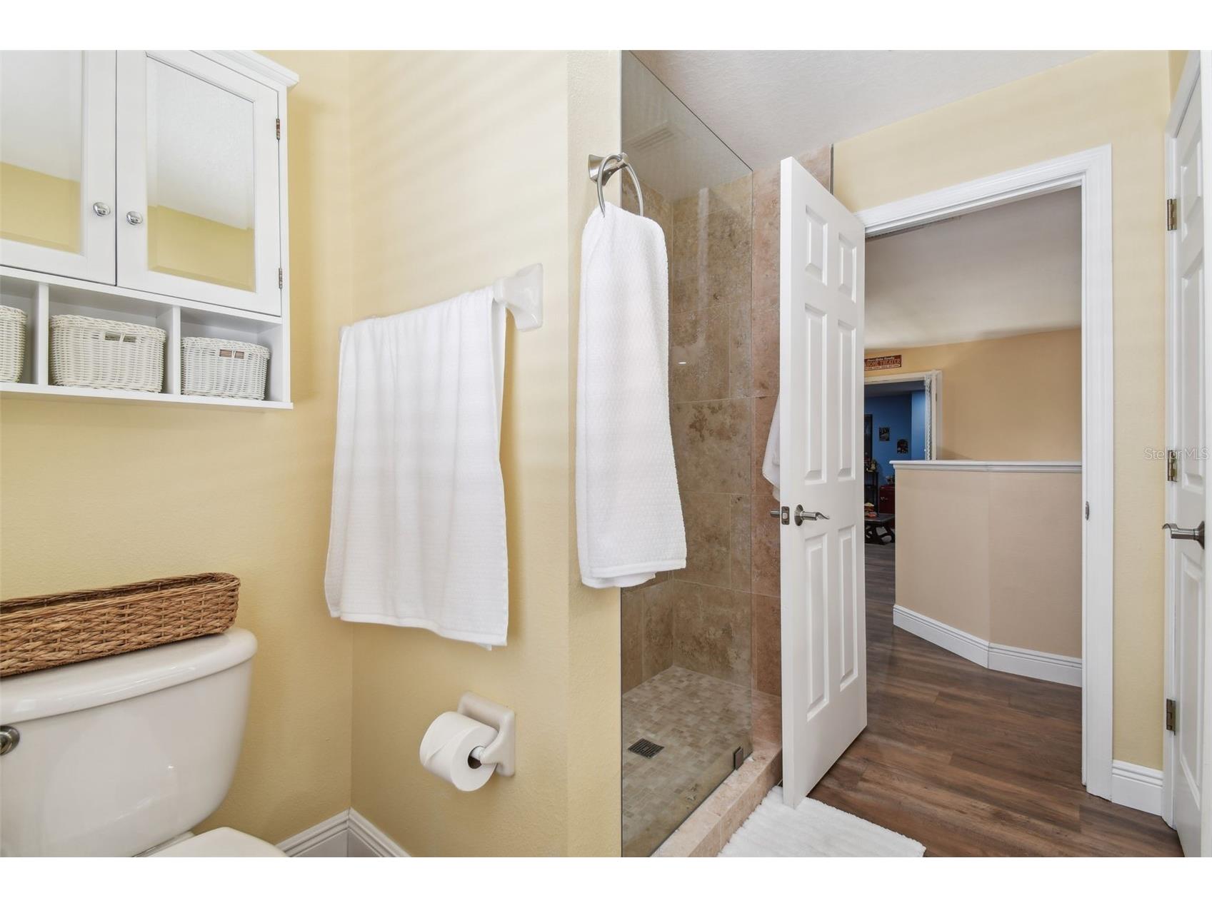 21511 Wilderness Lake Boulevard Land O Lakes FL 34637 TB8474426 image61