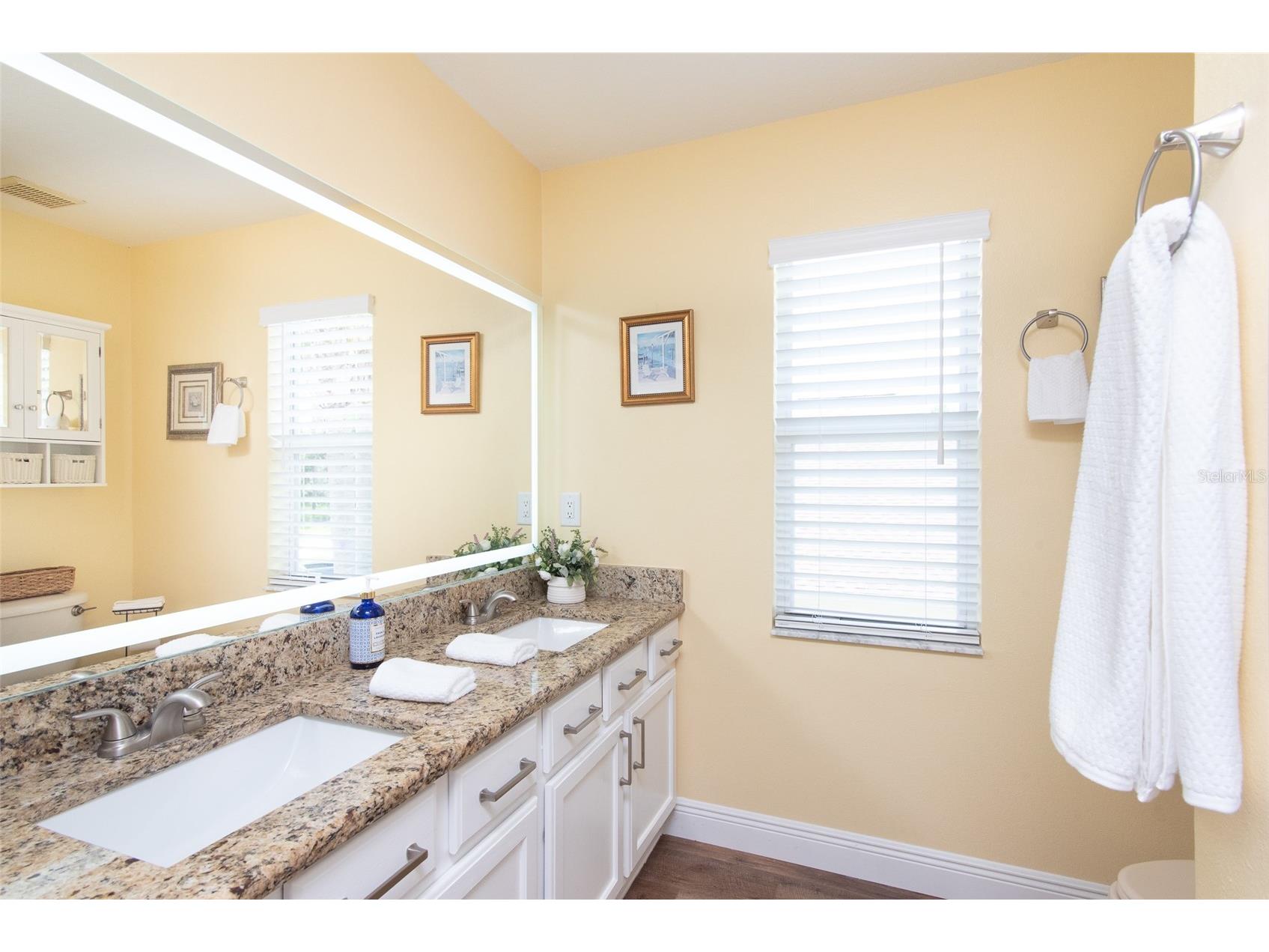 21511 Wilderness Lake Boulevard Land O Lakes FL 34637 TB8474426 image62