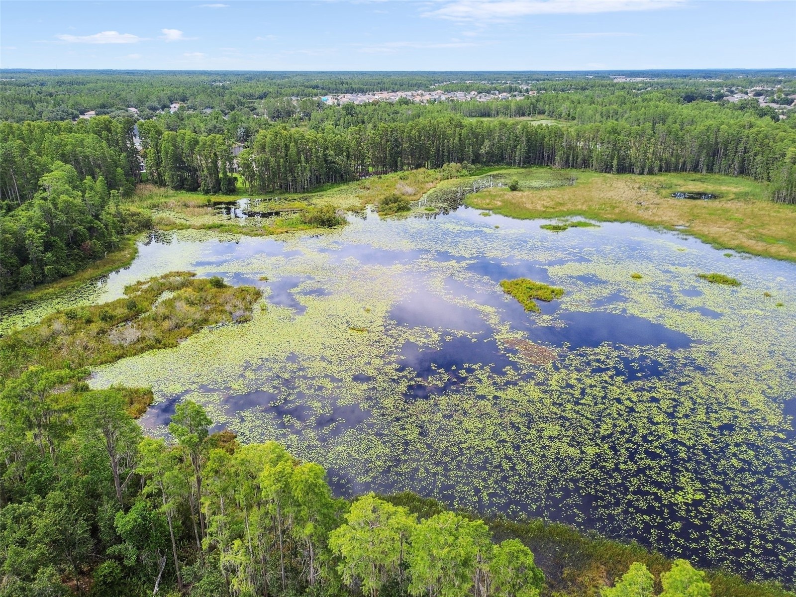 21511 Wilderness Lake Boulevard Land O Lakes FL 34637 TB8474426 image68