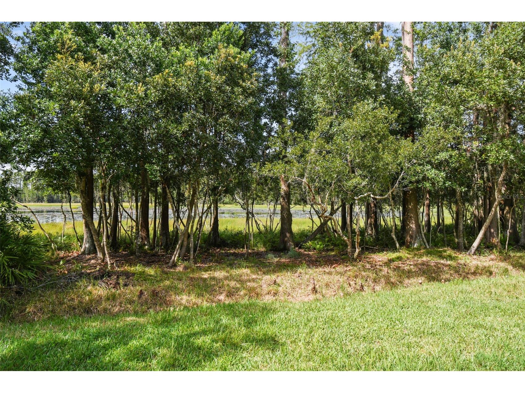 21511 Wilderness Lake Boulevard Land O Lakes FL 34637 TB8474426 image70