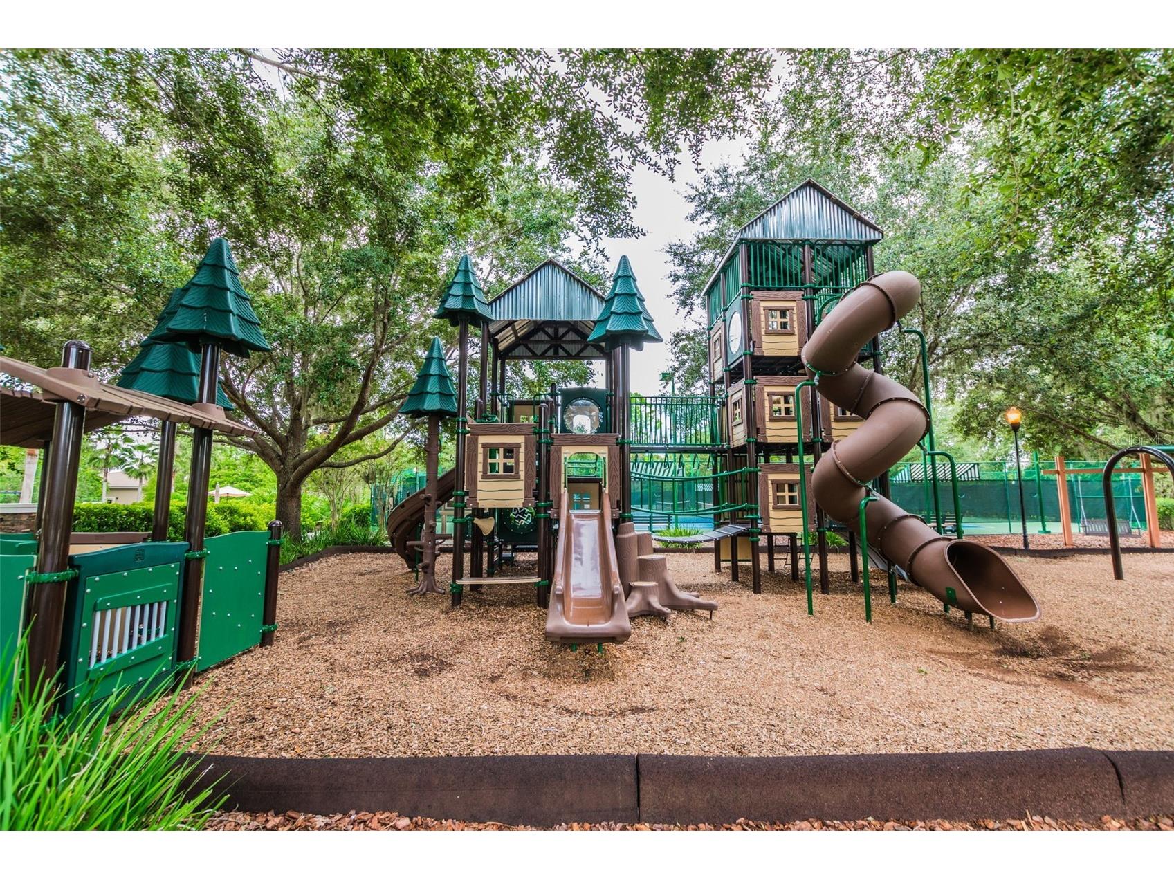 21511 Wilderness Lake Boulevard Land O Lakes FL 34637 TB8474426 image86