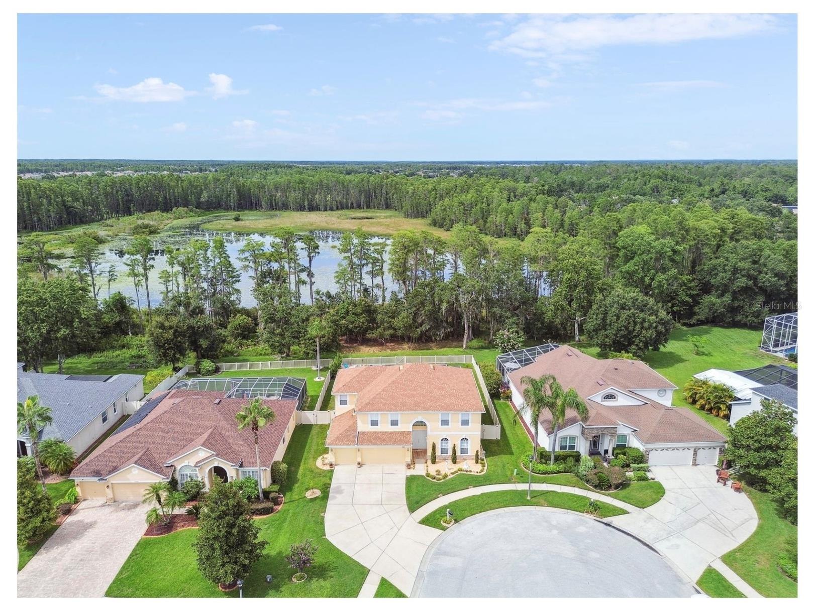 21511 Wilderness Lake Boulevard Land O Lakes FL 34637 TB8474426 image91
