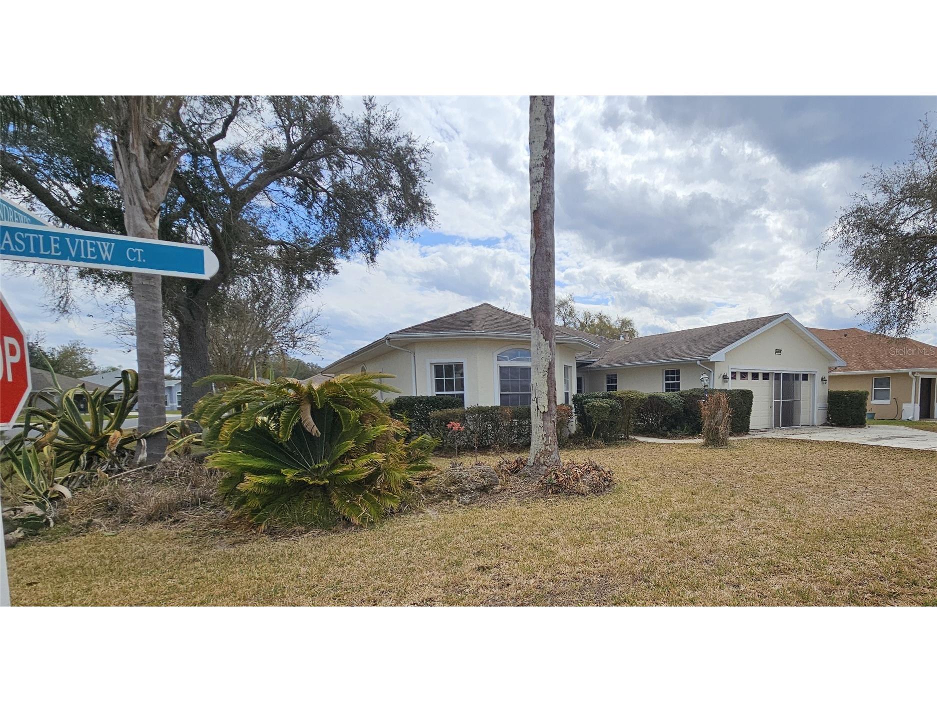 21516 Castle View Court Leesburg FL 34748 G5108841 image2