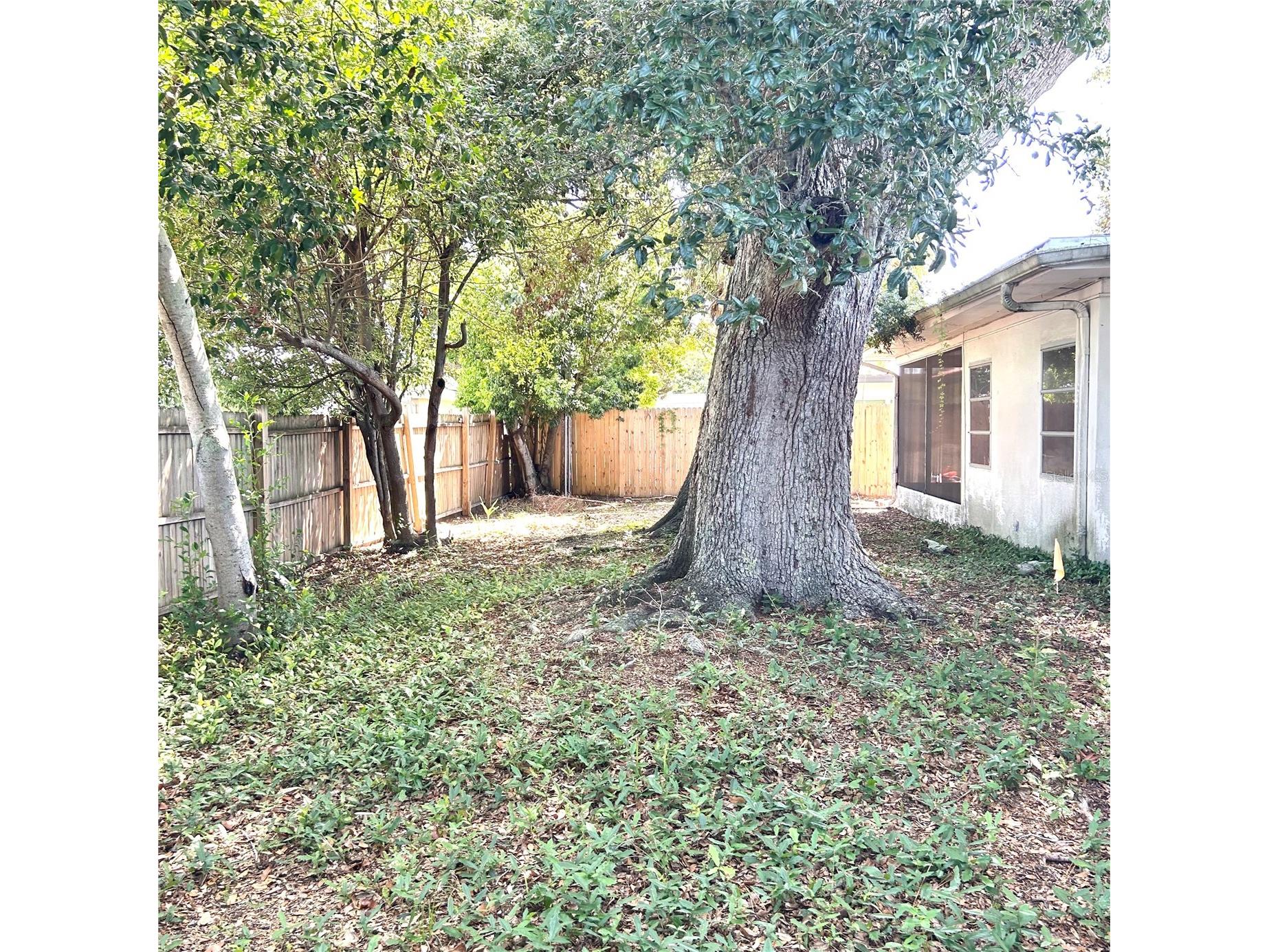 2152 Greenbriar Boulevard Clearwater FL 33763 TB8532714 image42