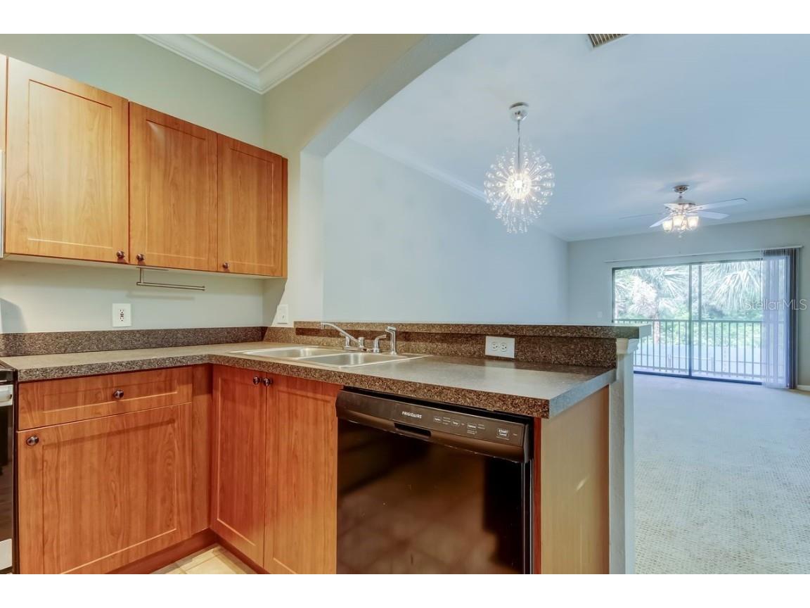 2152 Portofino Place #29-029 Palm Harbor FL 34683 TB8404489 image14