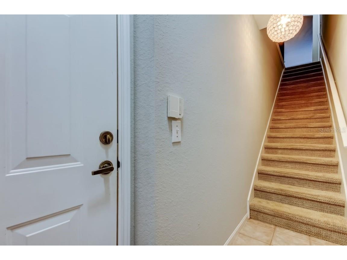 2152 Portofino Place #29-029 Palm Harbor FL 34683 TB8404489 image2