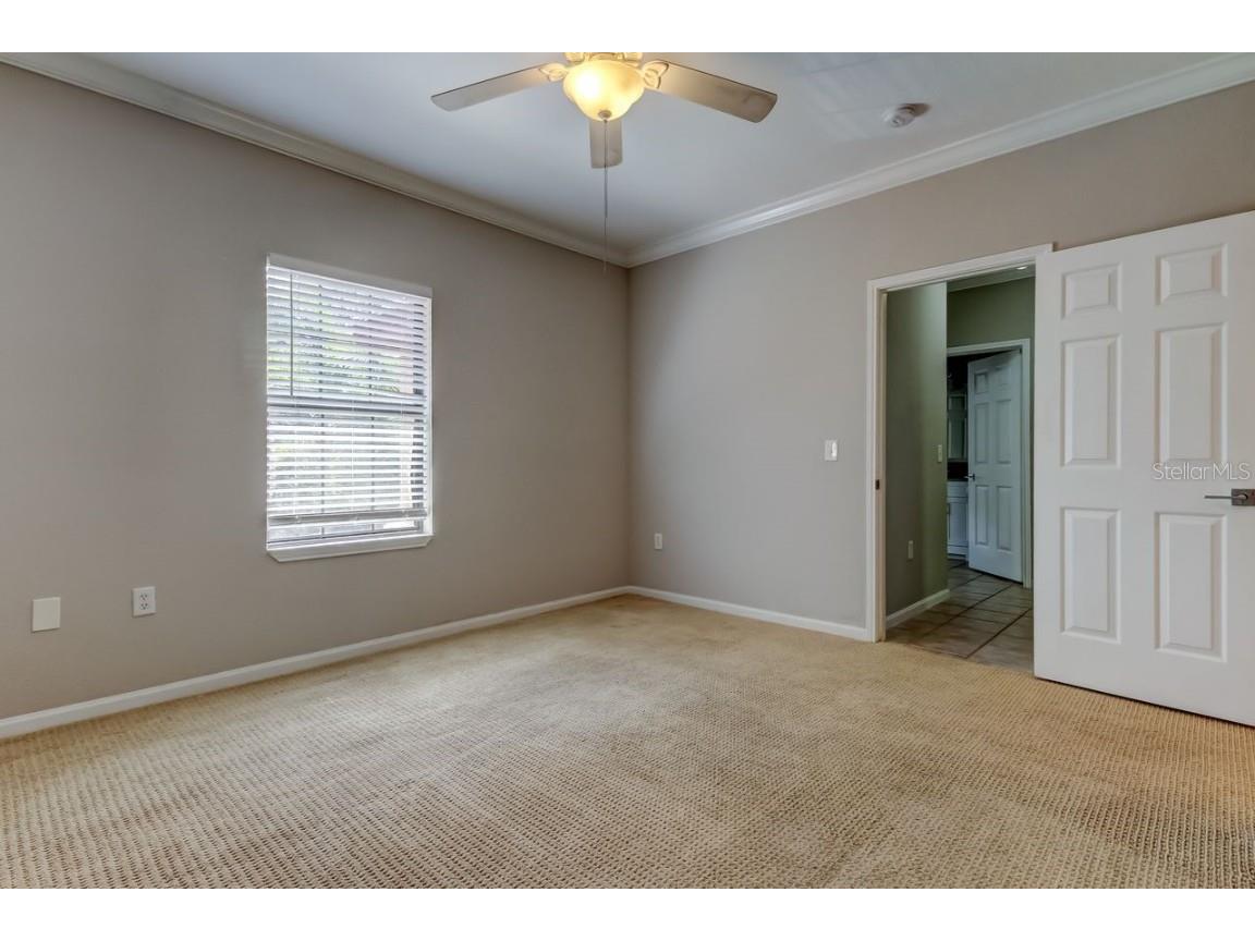 2152 Portofino Place #29-029 Palm Harbor FL 34683 TB8404489 image23