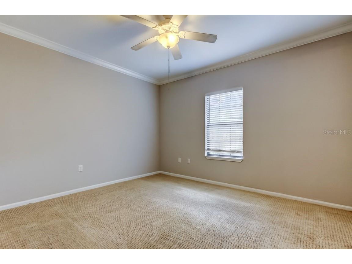 2152 Portofino Place #29-029 Palm Harbor FL 34683 TB8404489 image24