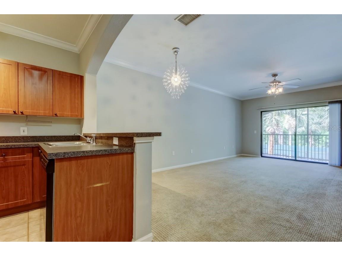 2152 Portofino Place #29-029 Palm Harbor FL 34683 TB8404489 image3