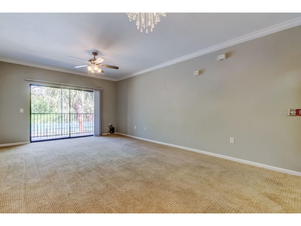 2152 Portofino Place #29-029 Palm Harbor FL 34683 TB8404489 image5