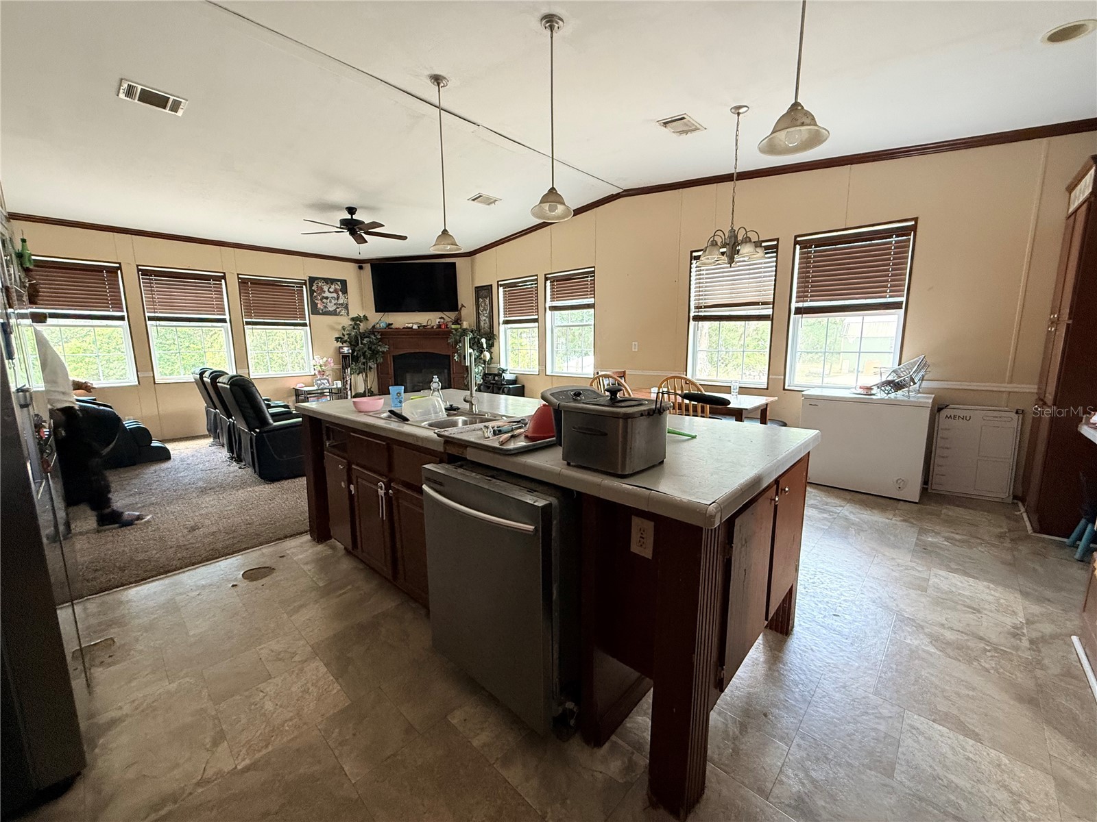 21520 SE 147th Lane Umatilla FL 32784 S5148865 image14